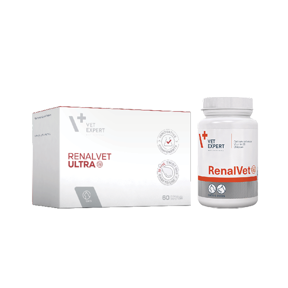 vetexpert_siskevasia_gr3 vetexpert_siskevasia_gr3